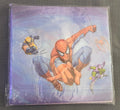Spiderman party set