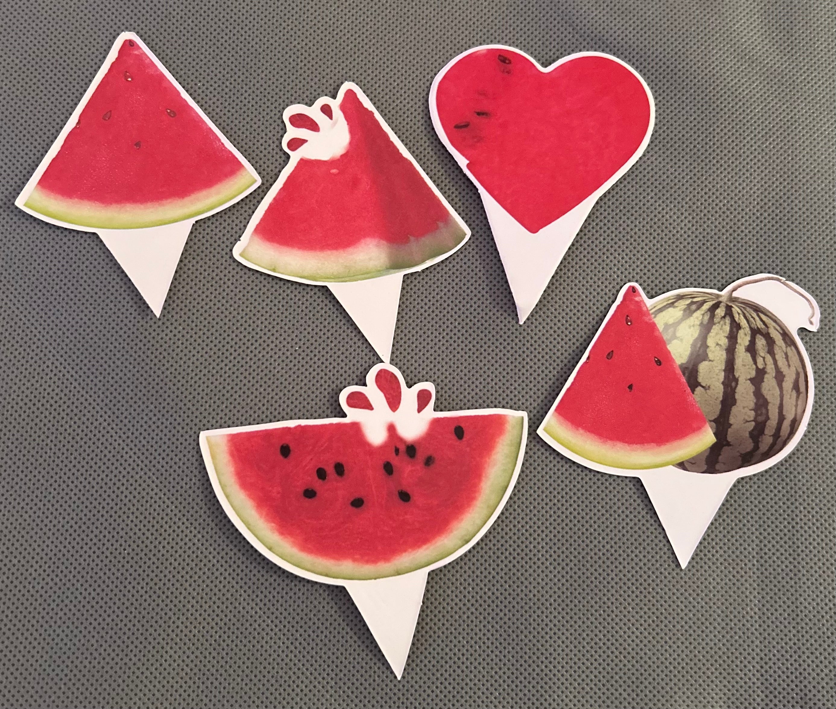 Watermelon party set