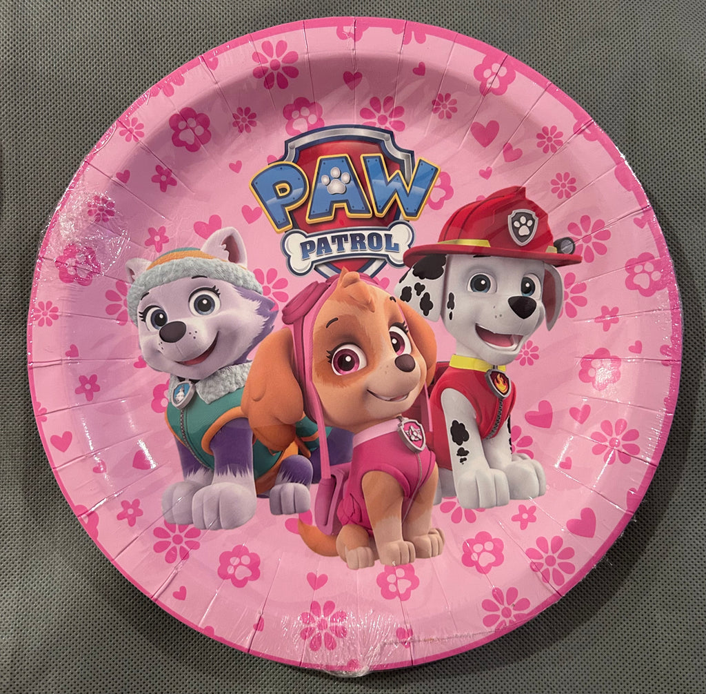 Sky paw patrol party set