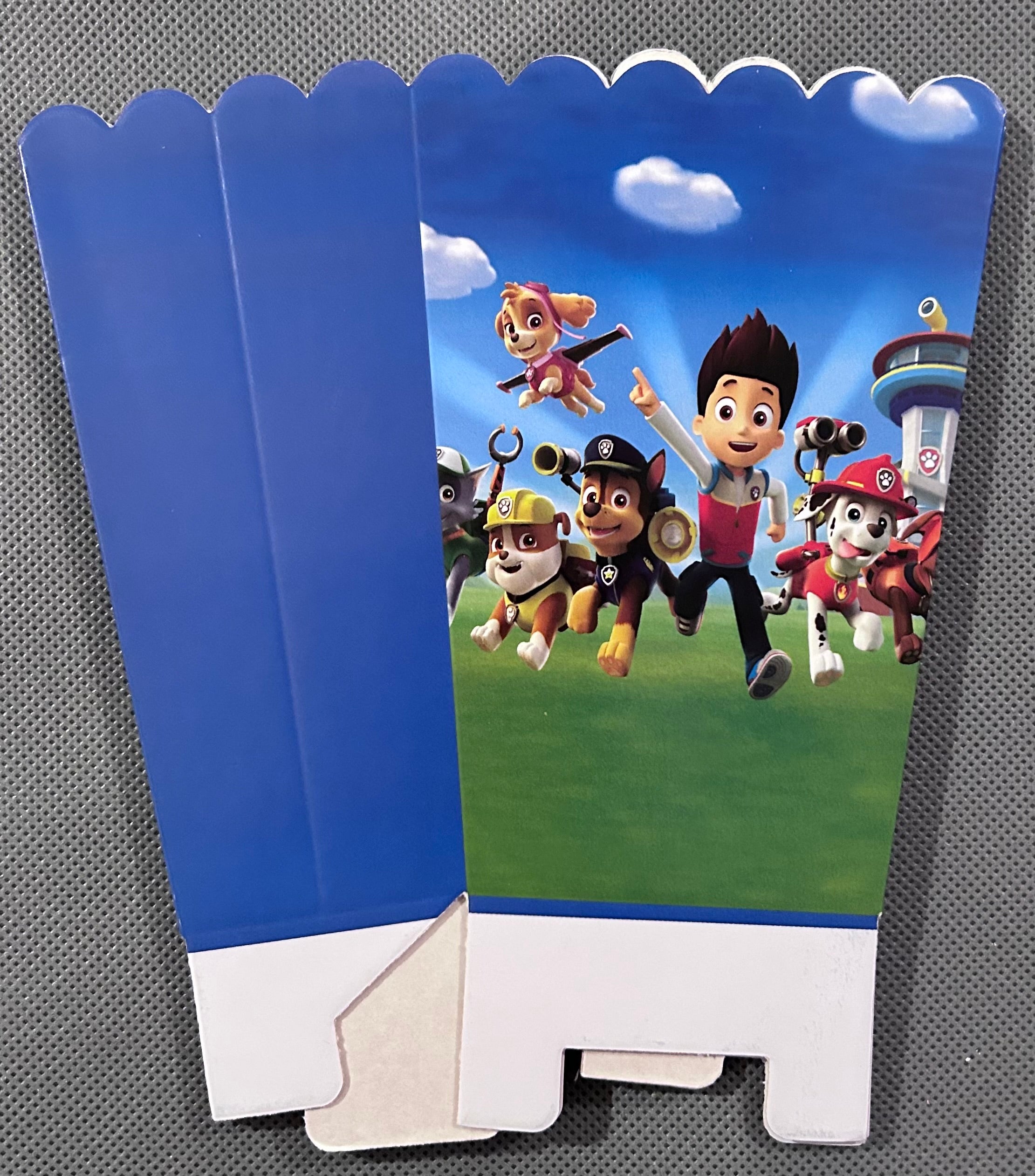 Paw patrol party set