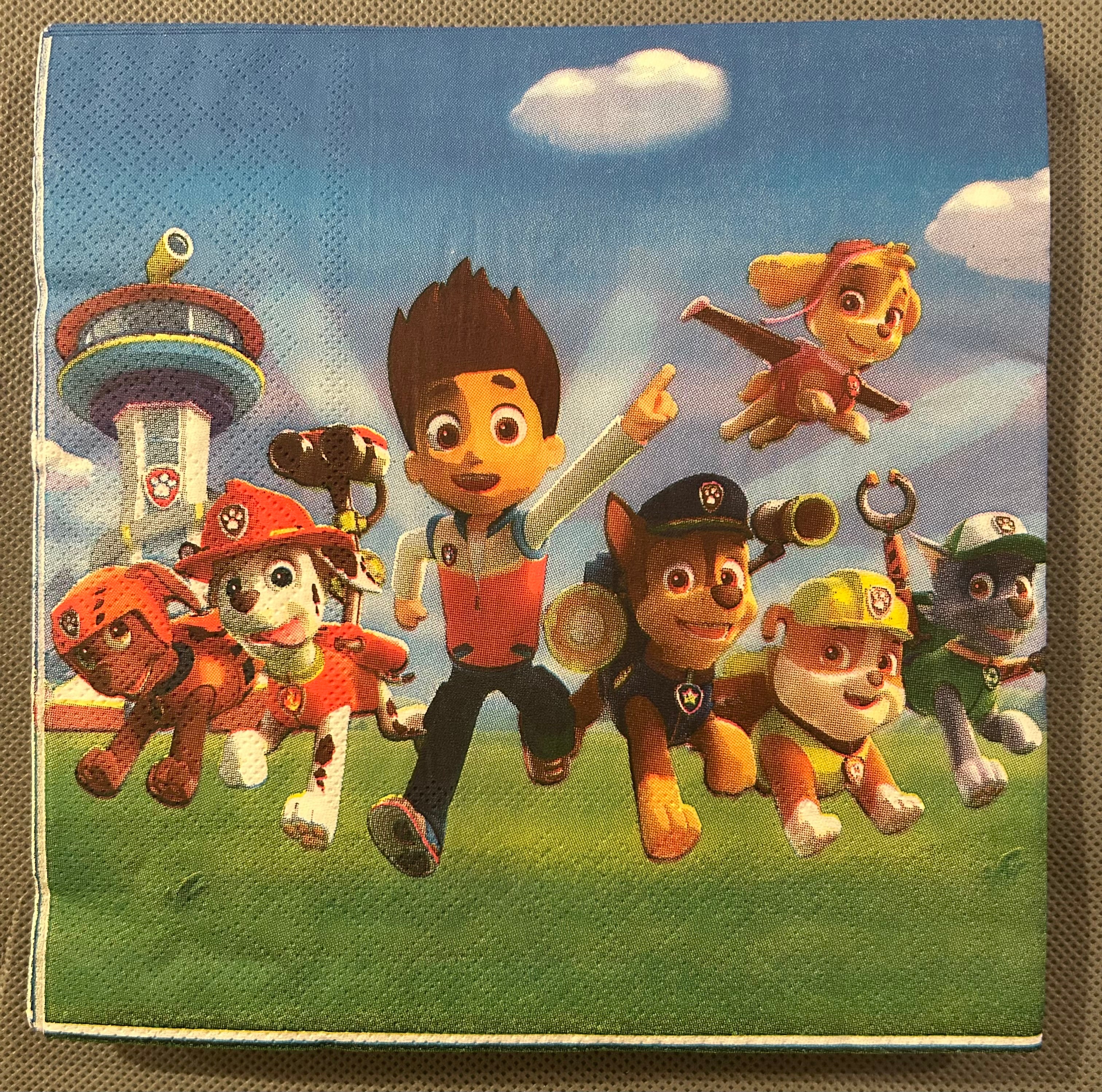Paw patrol party set