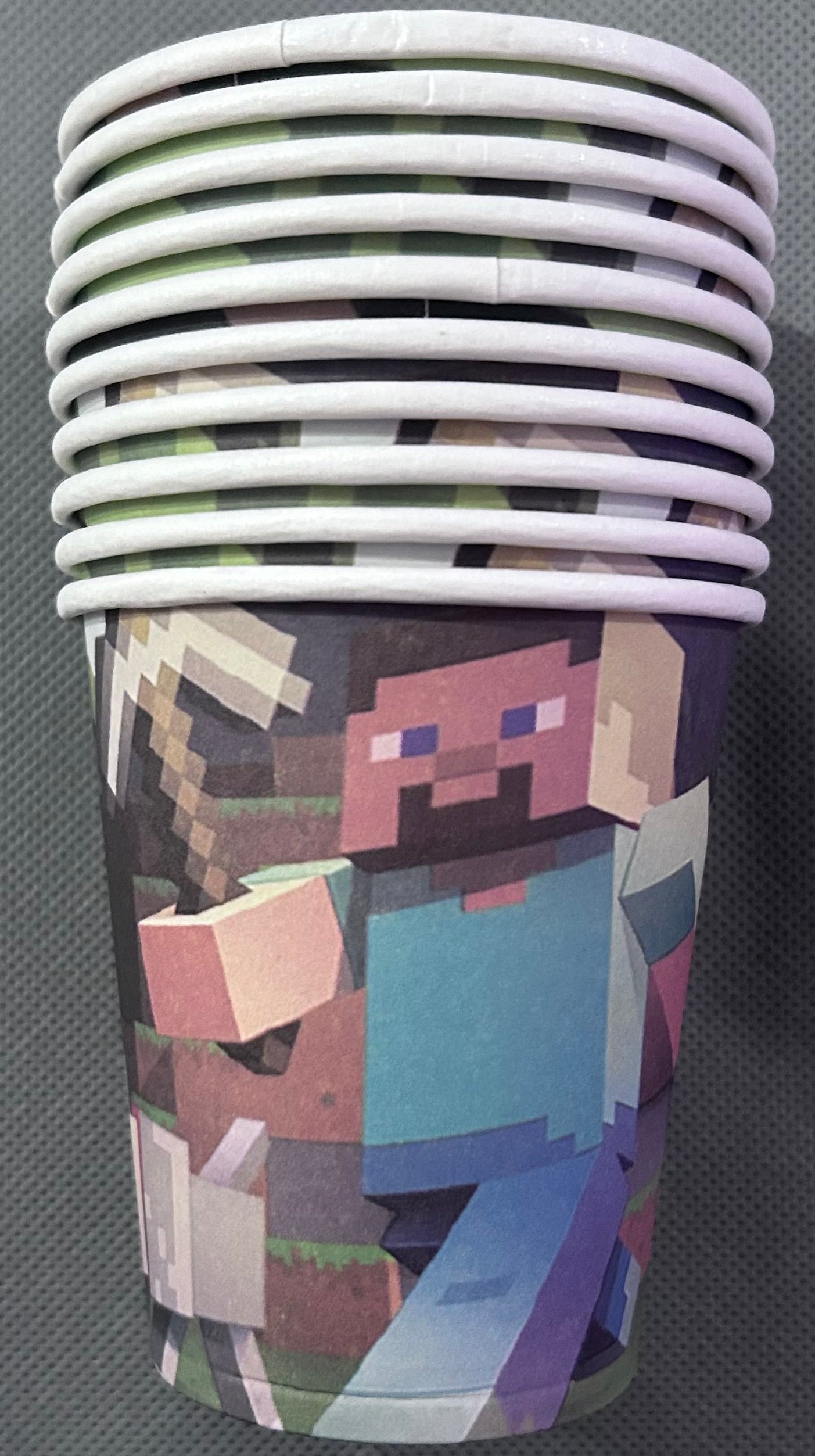 Minecraft party set