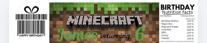 Minecraft party set