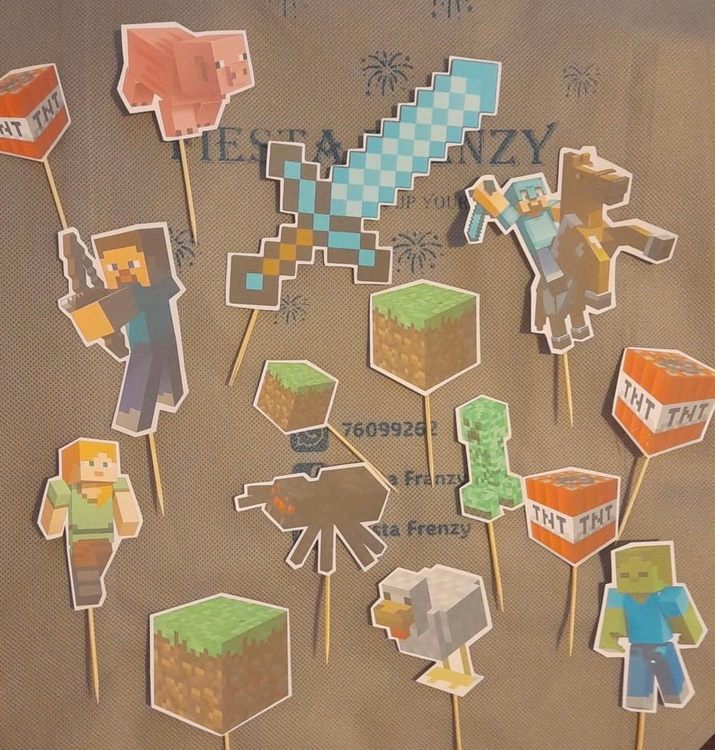 Minecraft party set