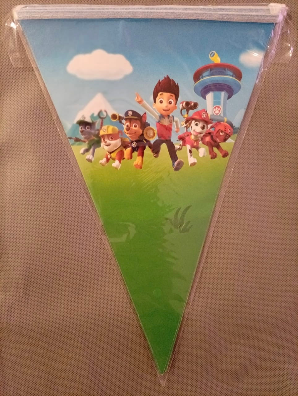 Paw patrol party set