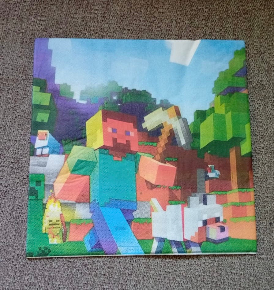 Minecraft party set