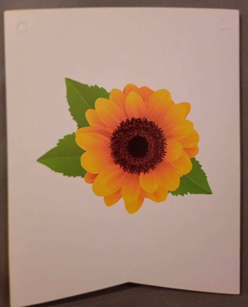 Sunflower party set
