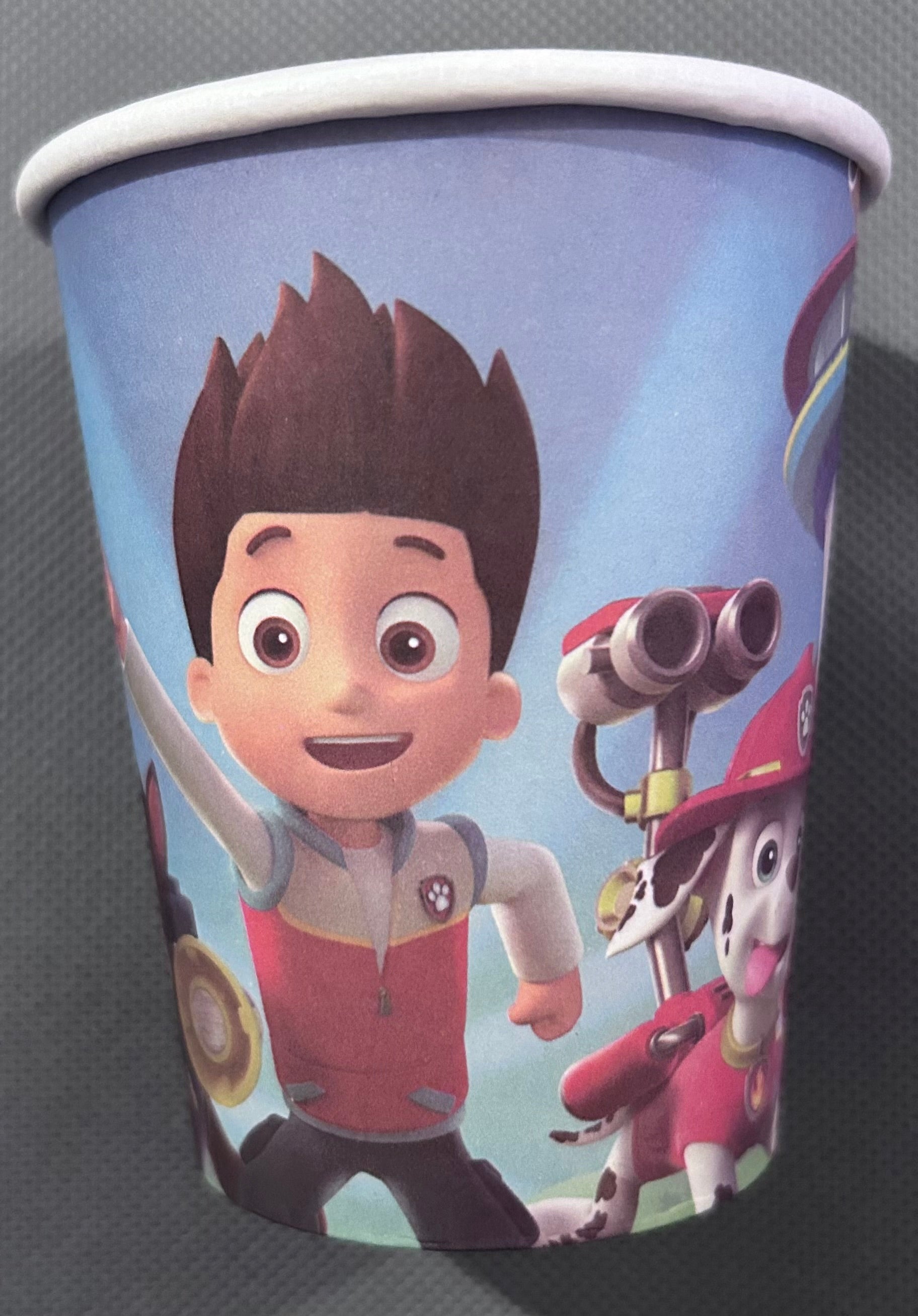 Paw patrol party set