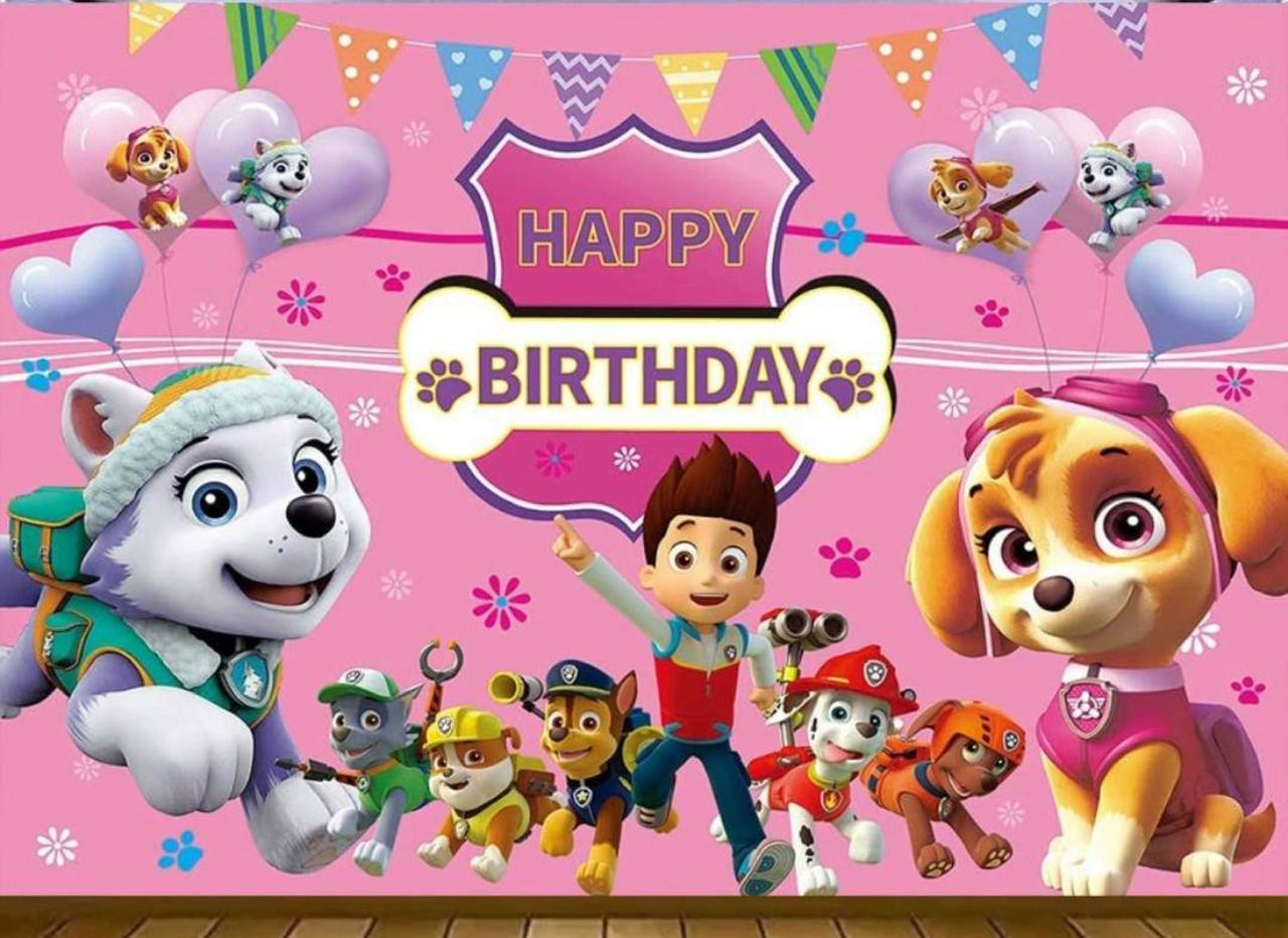 Sky paw patrol party set