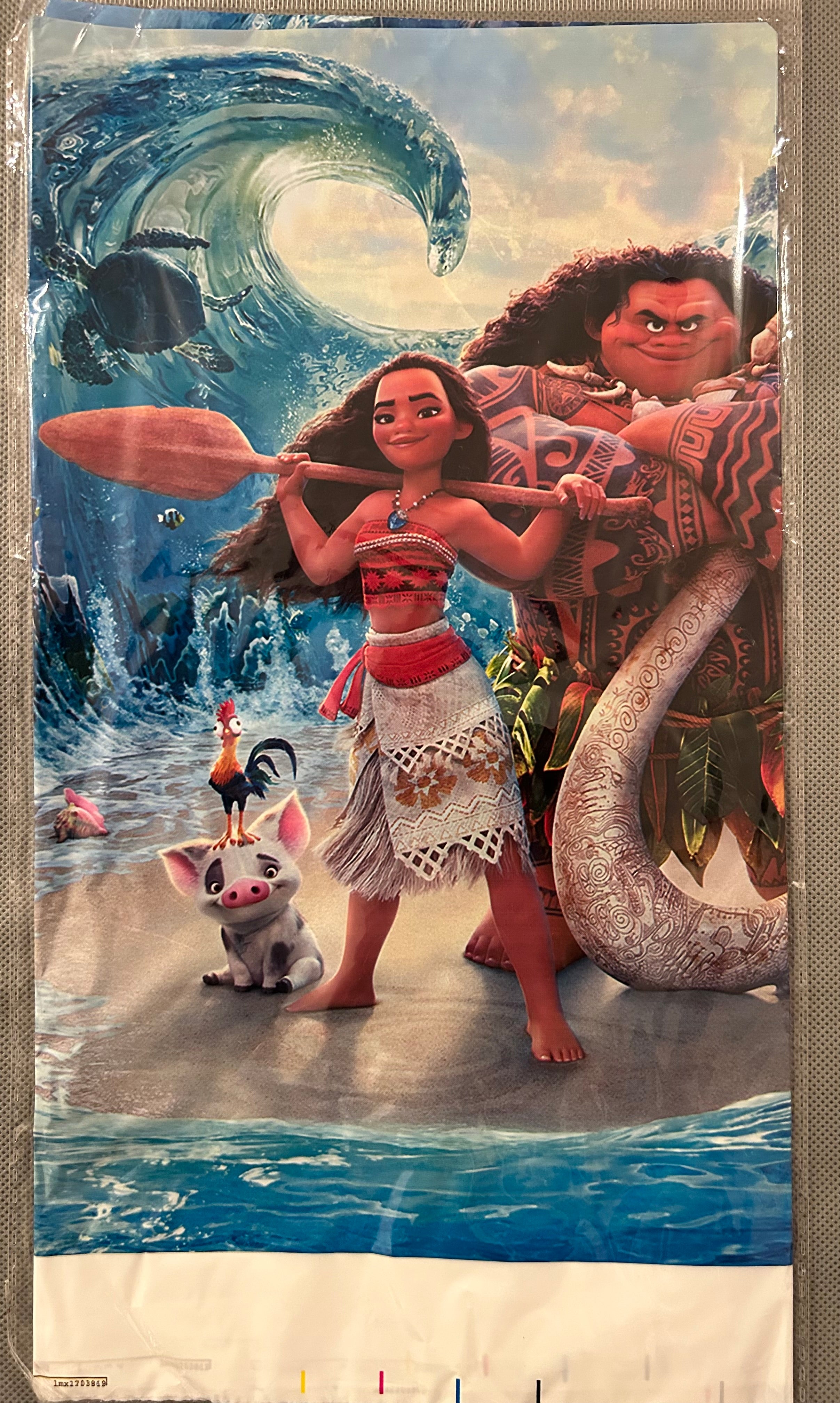 Moana party set