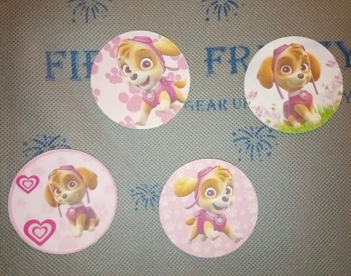 Sky paw patrol party set