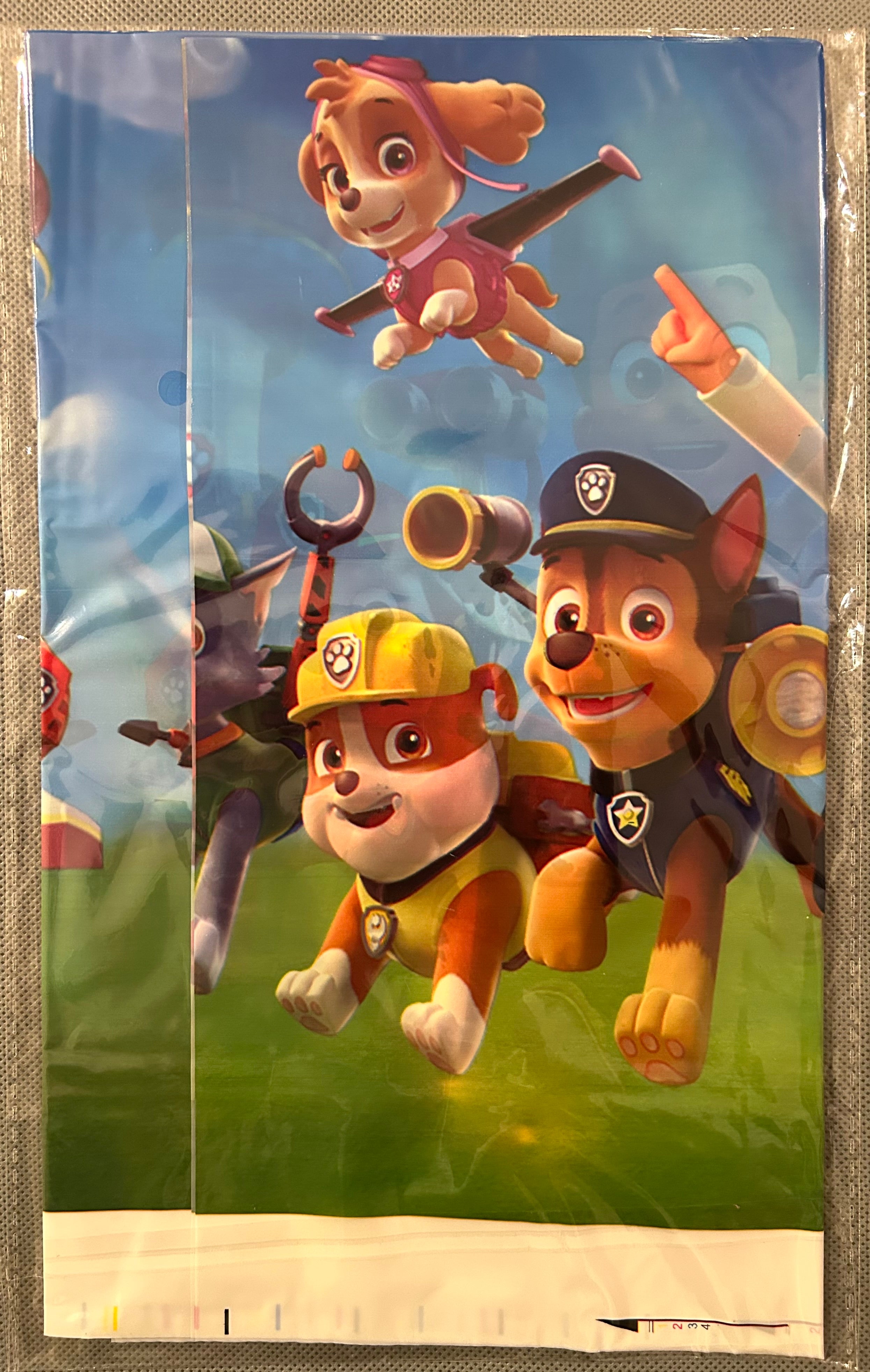 Paw patrol party set