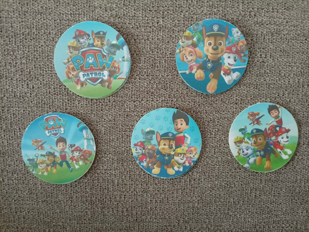 Paw patrol party set