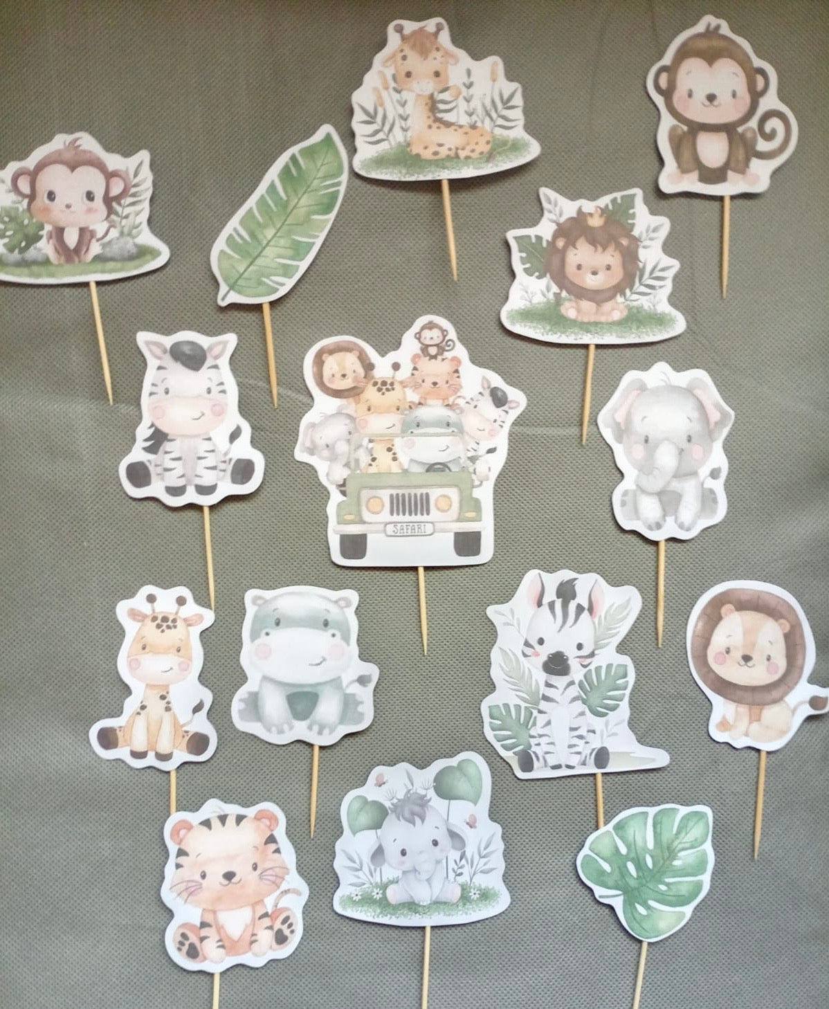 Safari party set
