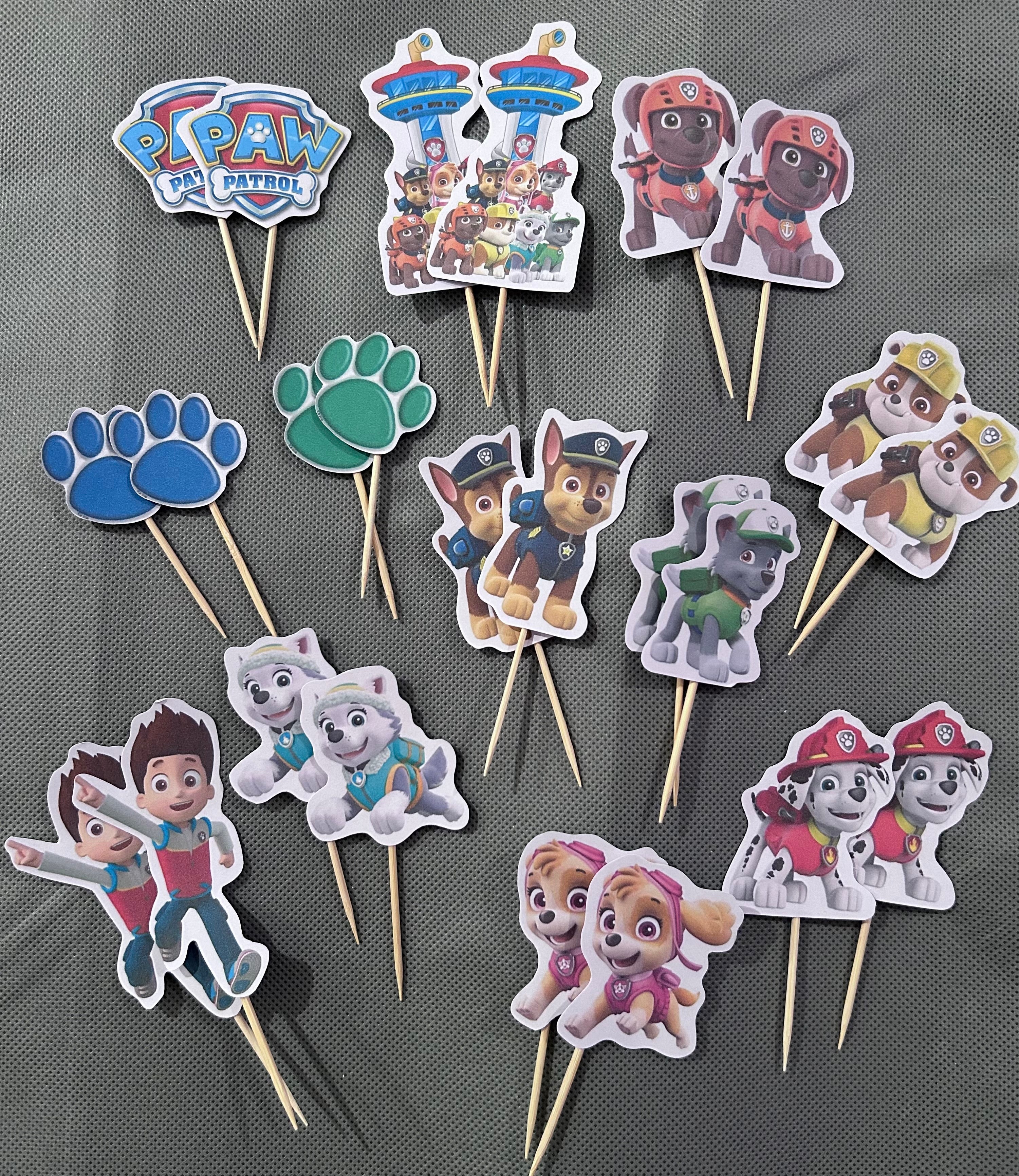 Paw patrol party set