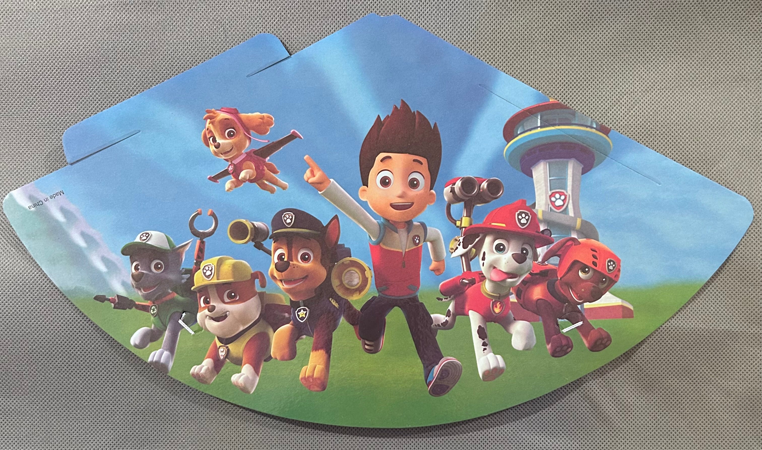 Paw patrol party set
