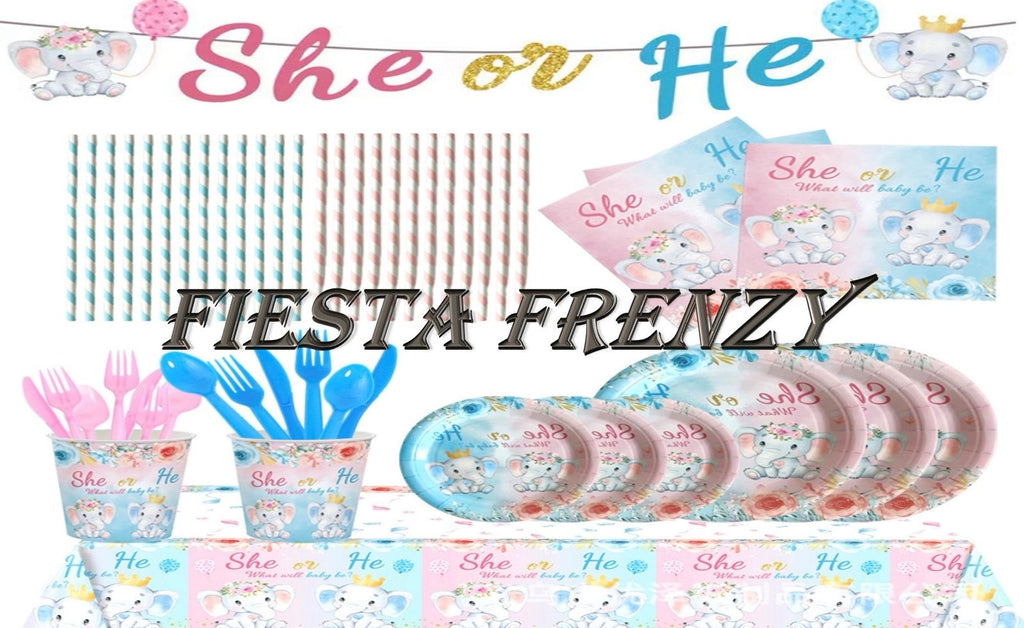 Gender reveal party set