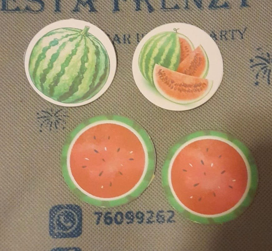 Watermelon party set