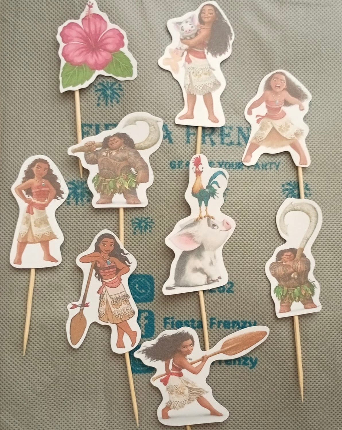 Moana party set